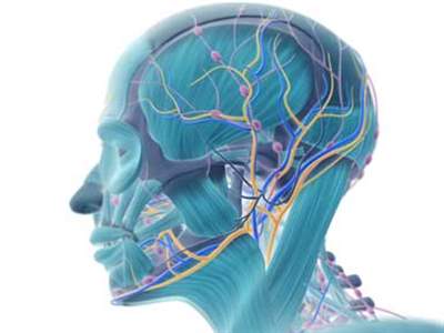 دردهای عصبی چیست؛ علائم، تشخیص و درمان درد نوروپاتیک